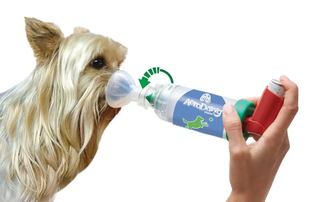 aerodawg-in-use-1.webp