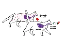 TMI_AH_VS_Overlap_Kat.webp