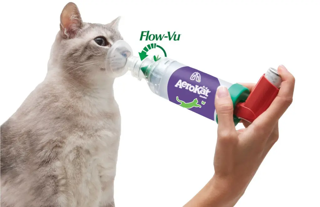 AeroKat_inUse_right-side-mini-wide.webp